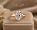 The Isabella Ring — Hidden Halo Oval